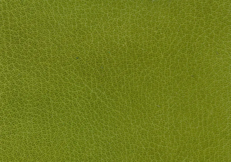 Harmatan Goat Leather Medium Green Traditional #16