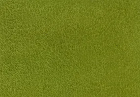 Harmatan Goat Leather Medium Green Traditional #16