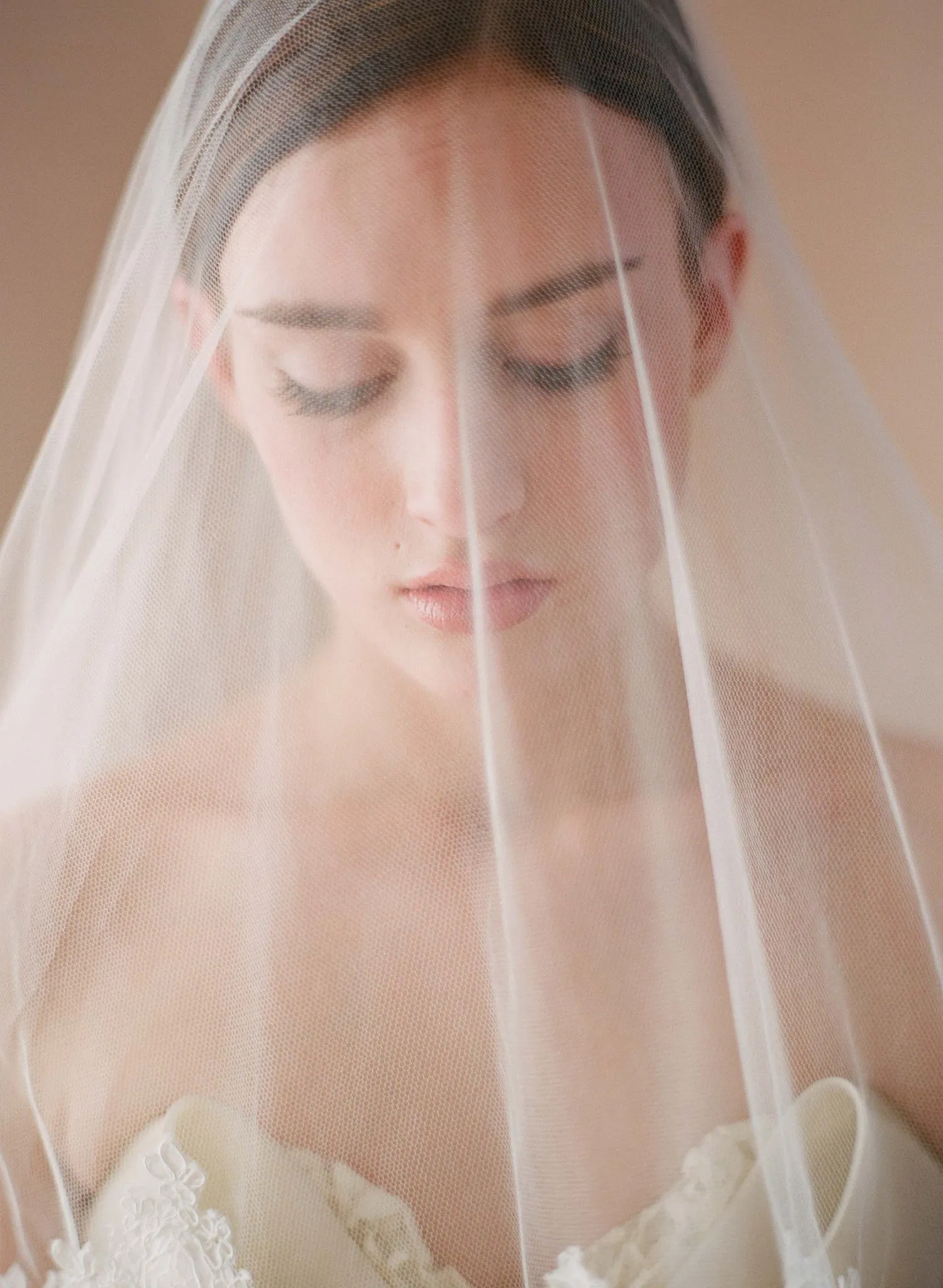 Silk tulle alencon lace trim veil - Style # 222