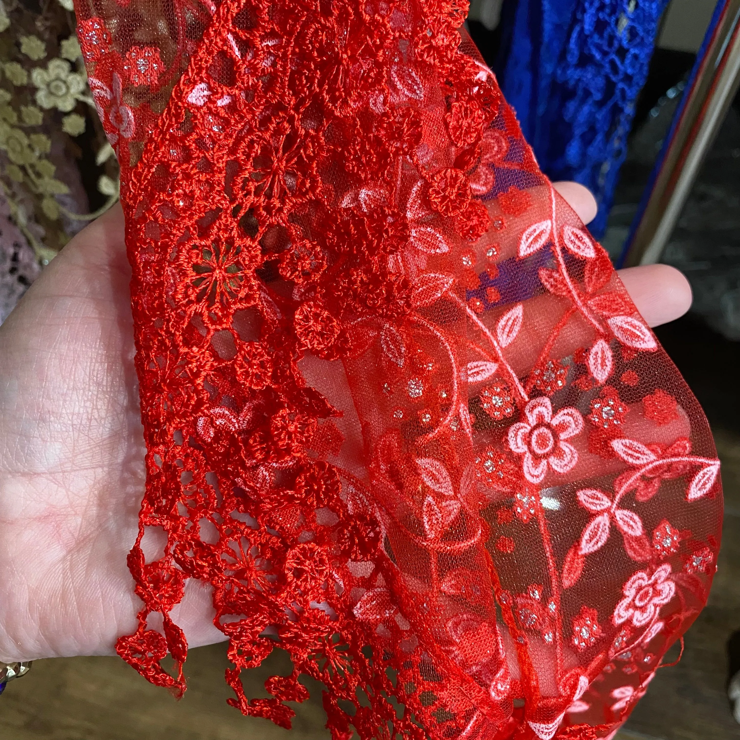 Veils with Sparkle Accents