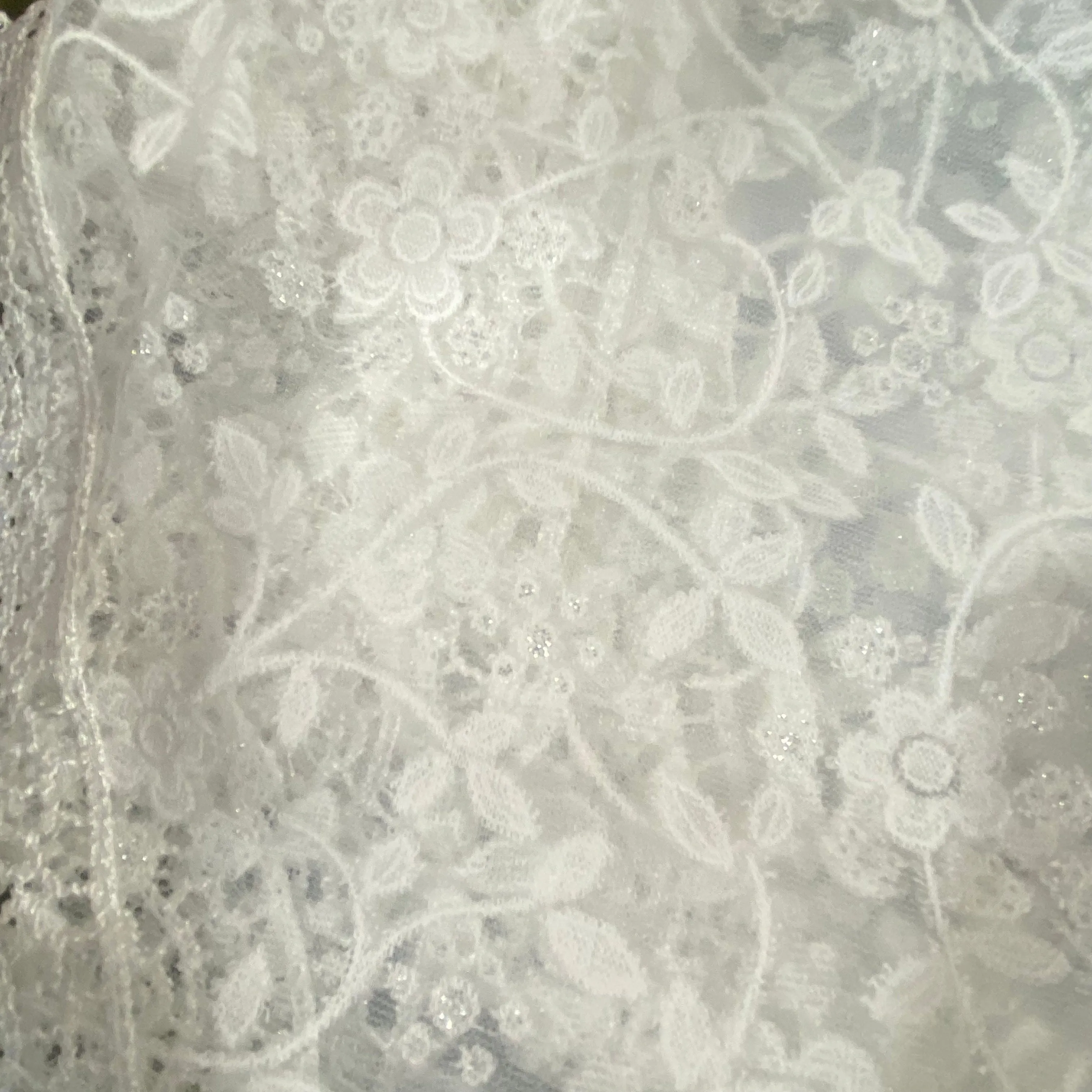 Veils with Sparkle Accents